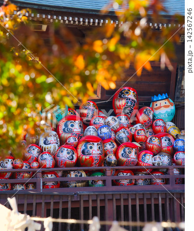 紅葉の名所/少林山達磨寺(群馬県高崎市) 紅葉の名所/少林山達磨寺(群馬県高崎市) 142567246