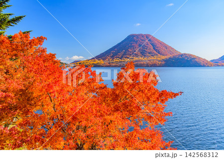 秋の快晴の朝 榛名湖周遊道路から左下の紅葉の木越しに望む全山紅葉の榛名富士と榛名湖 142568312
