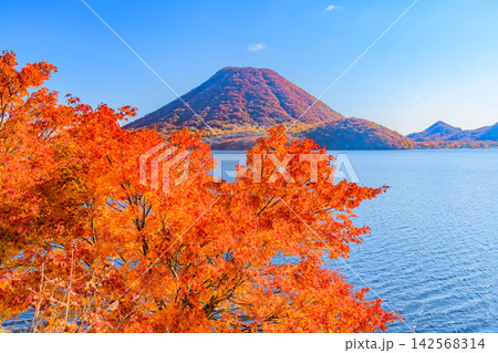 秋の快晴の朝 榛名湖周遊道路から左下の紅葉の木越しに望む全山紅葉の榛名富士と榛名湖 142568314