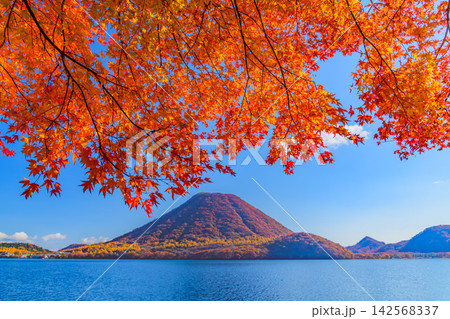 秋の快晴の朝 榛名湖周遊道路から上部の紅葉の木越しに望む全山紅葉の榛名富士と榛名湖 秋の快晴の朝 榛名湖周遊道路から上部の紅葉の木越しに望む全山紅葉の榛名富士と榛名湖 142568337