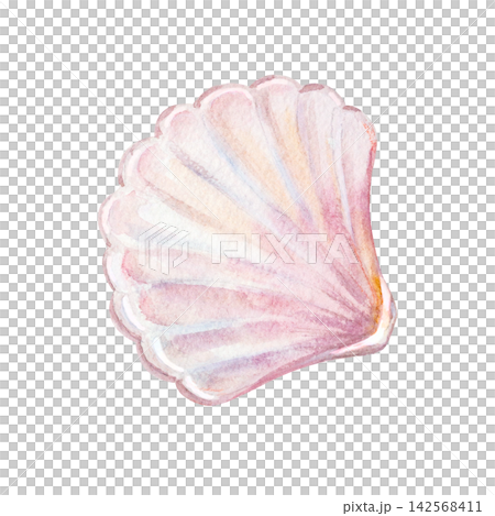 Closed pink seashell half valve with shiny nacre pearl luster. Hand drawn watercolor illustration isolated on. Realistic scallop sea shell art element for marine design and summer craft. Closed pink seashell half valve with shiny nacre pearl luster. Hand drawn watercolor illustration isolated on. Realistic scallop sea shell art element for marine design and summer craft. 142568411