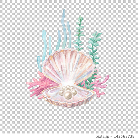 Open pink seashell with nacre luster holds single natural white pearl. Underwater marine scene with corals and seaweeds. Watercolor illustration isolated on Open pink seashell with nacre luster holds single natural white pearl. Underwater marine scene with corals and seaweeds. Watercolor illustration isolated on 142568739