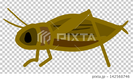 Cricket Cricket 142568746