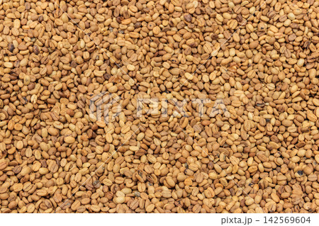 Background of the raw coffee beans 142569604