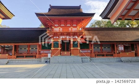 宇佐神宮 上宮本殿 宇佐神宮 上宮本殿 142569728