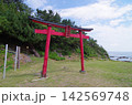 海沿いの小さな神社 142569748