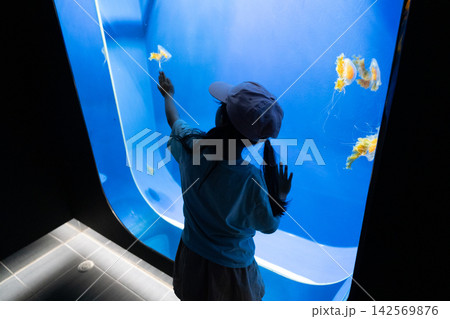 水族館でクラゲを観察する女の子 142569876