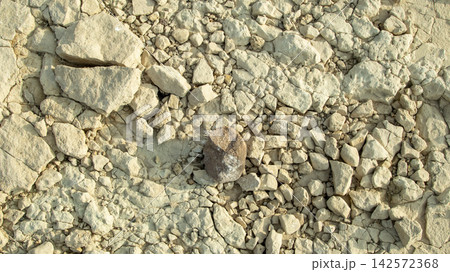 the bottom of the bottom of a dried-up sea from the Mesolithic era on a sunny daya dried-up sea from the Mesolithic era 142572368