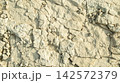 the bottom of the bottom of a dried-up sea from the Mesolithic era on a sunny daya dried-up sea from the Mesolithic era 142572379