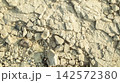 the bottom of a dried-up sea from the Mesolithic era on a sunny day 142572380