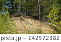 Two trees on a cliff side of a mountain during the day 142572382