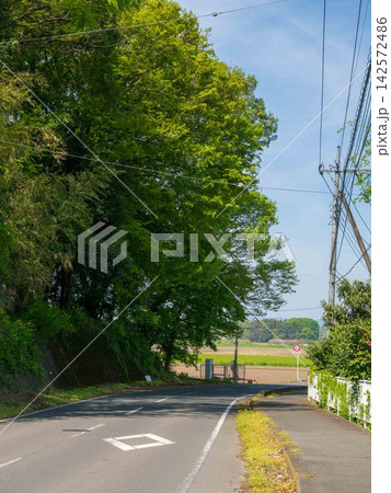 夏の晴れた日の砂利道 142572486