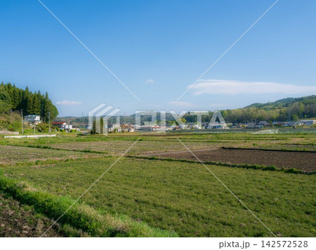 春の田んぼのある風景 142572528