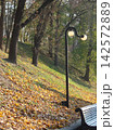 Autumn park path covered with fallen yellow leaves, trees and black street lamps in soft focus, creating a peaceful October landscape. 142572889