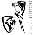 macaw parrot bird black and white vector heraldic shield design 142572981