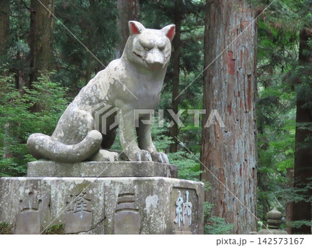三峯神社狛犬の狼・吽形 三峯神社狛犬の狼・吽形 142573167