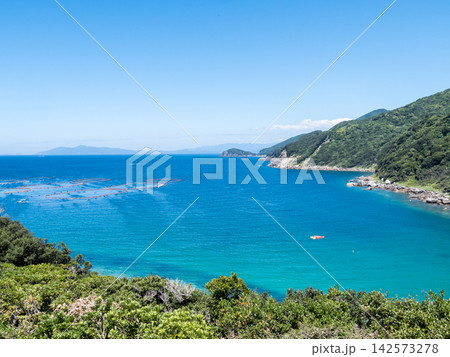 【柏島】夏の透き通るエメラルドグリーンの海 【柏島】夏の透き通るエメラルドグリーンの海 142573278