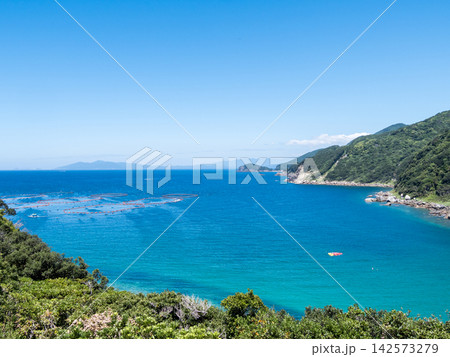 【柏島】夏の透き通るエメラルドグリーンの海 【柏島】夏の透き通るエメラルドグリーンの海 142573279