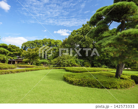 皇居東御苑の夏 皇居東御苑の夏 142573333
