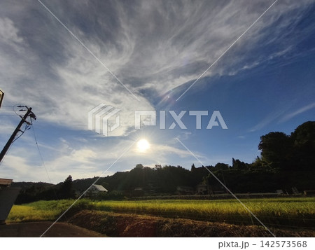 山から顔を出す太陽 山から顔を出す太陽 142573568