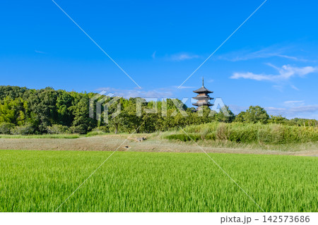 岡山_水田と備中国分寺の風景 岡山_水田と備中国分寺の風景 142573686