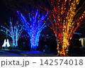 クリスマスのイルミネーション 142574018