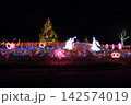 冬のクリスマスツリー 142574019
