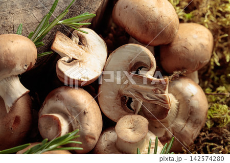 Fresh champignons with rosemary in forest. Fresh champignons with rosemary in forest. 142574280