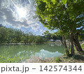 水没林3 142574344