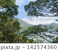 自然2 142574360
