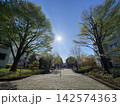 自然の住宅地2 142574363