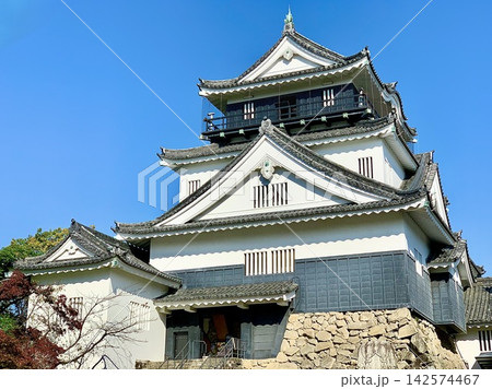 秋晴れの青空に聳え立つ岡崎城天守閣を仰ぎ見る〈岡崎城公園/愛知県岡崎市〉 秋晴れの青空に聳え立つ岡崎城天守閣を仰ぎ見る〈岡崎城公園/愛知県岡崎市〉 142574467