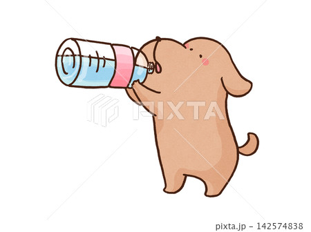 ペットボトルの水をラッパ飲みして水分補給をする犬（熱中症対策） 142574838