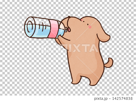 ペットボトルの水をラッパ飲みして水分補給をする犬（熱中症対策） 142574838