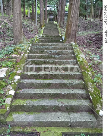 苔むした石段 苔むした石段 142574940
