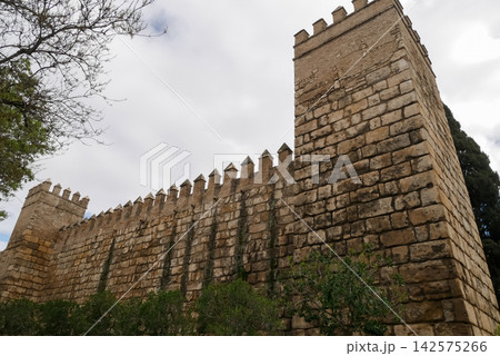 Ancient Medieval Castle Wall with Battlements, Low Angle View 142575266