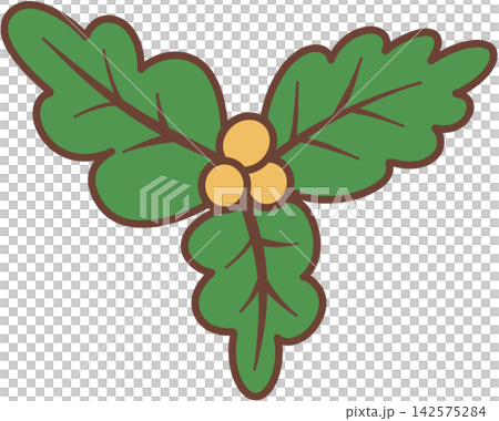 Green Christmas holly leaves with yellow berries Green Christmas holly leaves with yellow berries 142575284