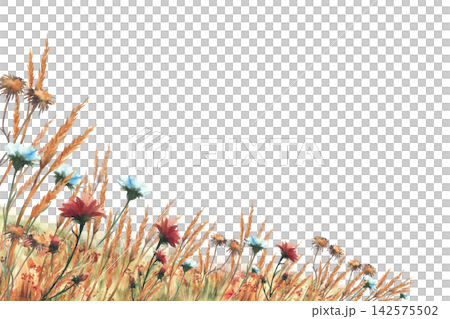 Autumn field with red, blue yellow wildflowers, dried golden grasses rectangular banner. Hand drawn watercolor nature meadow, fall landscape plant. Corner frame Illustration isolated on white Autumn field with red, blue yellow wildflowers, dried golden grasses rectangular banner. Hand drawn watercolor nature meadow, fall landscape plant. Corner frame Illustration isolated on white 142575502