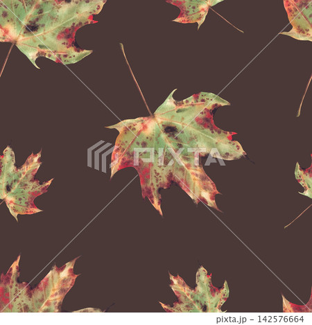 Watercolor Autumn maple leaf seamless pattern. Realistic green, yellow, red and golden coloured leaves. Hand painted botanical illustration on isolated dark coloured background. Realistic fall fabric Watercolor Autumn maple leaf seamless pattern. Realistic green, yellow, red and golden coloured leaves. Hand painted botanical illustration on isolated dark coloured background. Realistic fall fabric 142576664