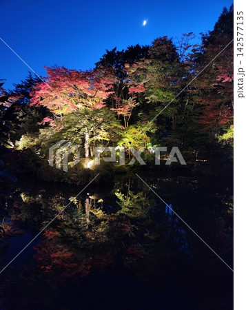 ライトアップされた秋の日本庭園と池に映る紅葉のリフレクション ライトアップされた秋の日本庭園と池に映る紅葉のリフレクション 142577135