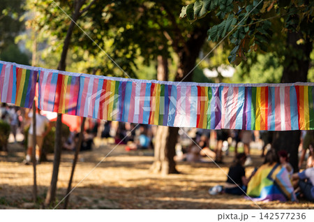 Rainbow Pride Bunting Decoration in Outdoor Park 142577236
