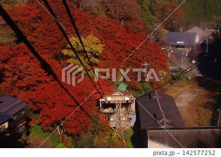 吉野山(奈良県吉野郡吉野町)ケーブルから見る紅葉 吉野山(奈良県吉野郡吉野町)ケーブルから見る紅葉 142577252