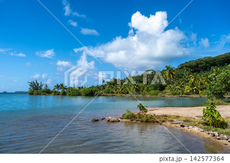 Coastline and Mountains on Tahaa Island, French Polynesia 142577364