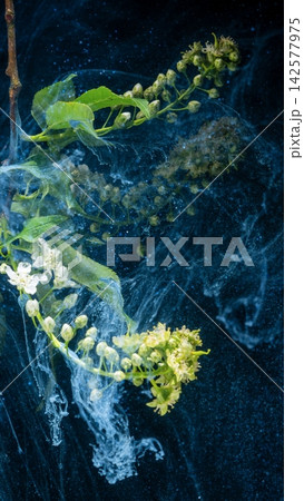 Green blossom branch submerged in swirling blue liquid with ink-like smoke plumes 142577975