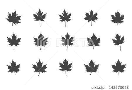 Maple leaf silhouette set, Maple leaf SVG vector icon for autumn design -V02. Maple leaf silhouette set, Maple leaf SVG vector icon for autumn design -V02. 142578038