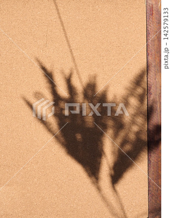 Sharp shadow from vegetation falls on a textured cork surface near a wooden frame. Sharp shadow from vegetation falls on a textured cork surface near a wooden frame. 142579133
