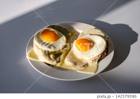 Homemade nutritious and healthy handmade sandwiches. Homemade nutritious and healthy handmade sandwiches with fried eggs and cheese Homemade nutritious and healthy handmade sandwiches. Homemade nutritious and healthy handmade sandwiches with fried eggs and cheese 142579390