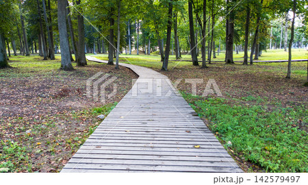 Wooden Eco Trail. Wooden Plank Walkway in Forest Recreation Zone Wooden Eco Trail. Wooden Plank Walkway in Forest Recreation Zone 142579497