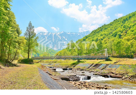 新緑の奥只見銀山平キャンプ場内中荒沢川に架かる吊り橋・残雪の荒沢岳山並み 新緑の奥只見銀山平キャンプ場内中荒沢川に架かる吊り橋・残雪の荒沢岳山並み 142580603