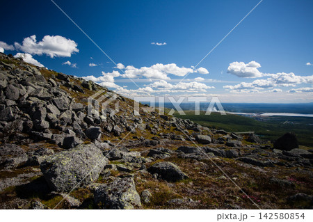Wide summer landscape from the Khibiny Mountains in Murmansk Region, Russia, showing a rocky mountain slope covered with lichen and low subarctic vegetation above the forested lowlands of the Kola Pen Wide summer landscape from the Khibiny Mountains in Murmansk Region, Russia, showing a rocky mountain slope covered with lichen and low subarctic vegetation above the forested lowlands of the Kola Pen 142580854